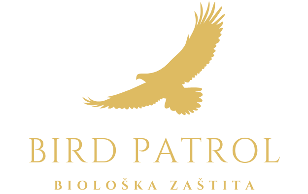 Bird Patrol